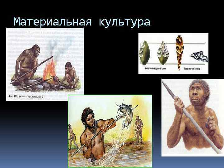 Материальная культура 
