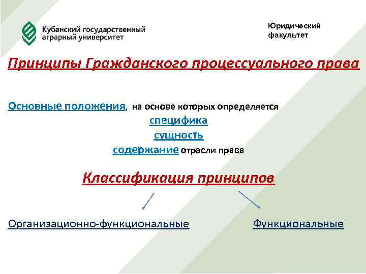 Юридический факультет Принципы Гражданского процессуального права Основные положения, на основе которых определяется специфика сущность