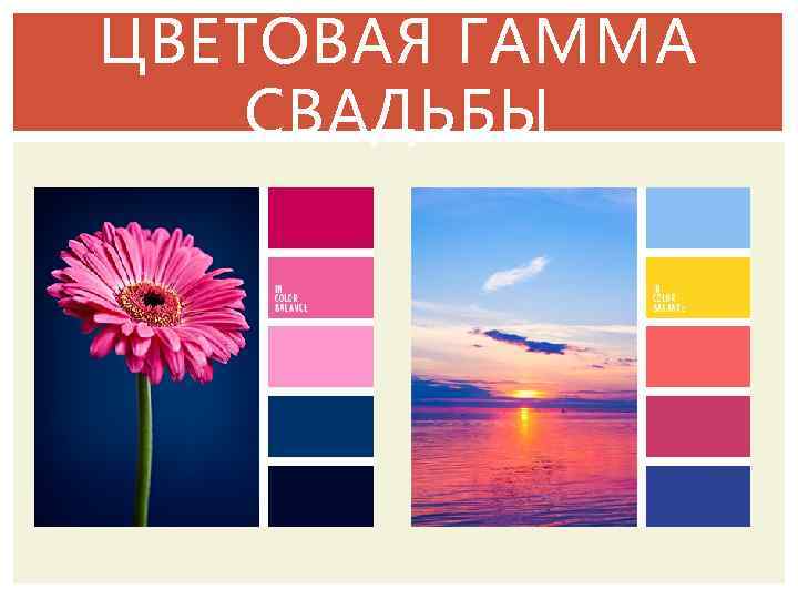 ЦВЕТОВАЯ ГАММА СВАДЬБЫ 