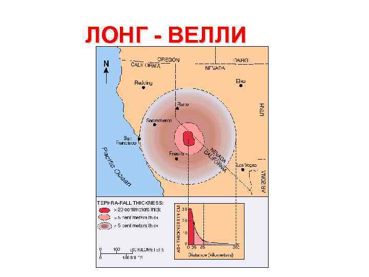 ЛОНГ - ВЕЛЛИ 