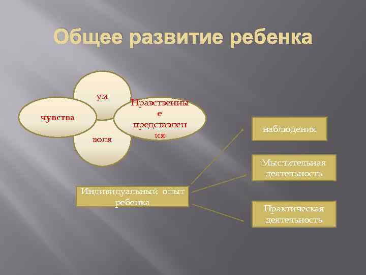 Представить е. Для общего развития. Ум чувства Воля. Общее развитие: интеллект, Воля, эмоции, творчество.