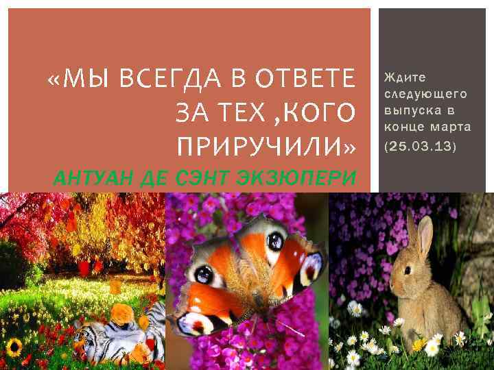  «МЫ ВСЕГДА В ОТВЕТЕ ЗА ТЕХ , КОГО ПРИРУЧИЛИ» АНТУАН ДЕ СЭНТ ЭКЗЮПЕРИ