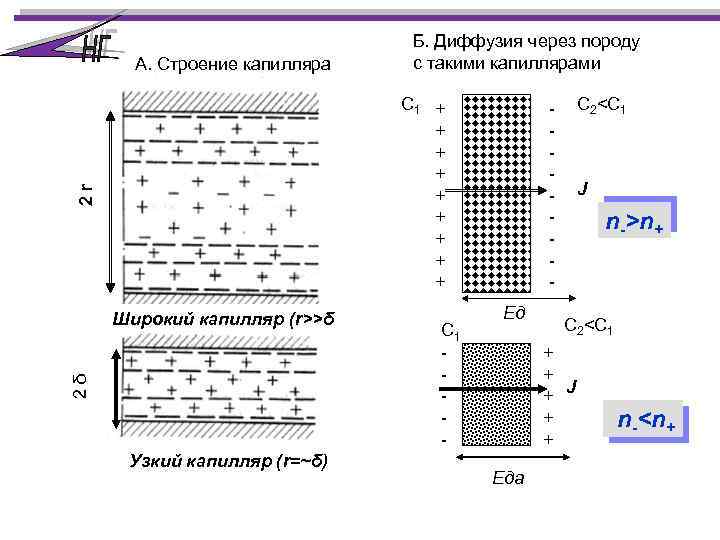 А. Строение капилляра Б. Диффузия через породу с такими капиллярами 2 r С 1