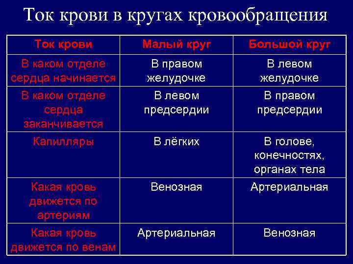 Большой и малый круг кровообращения презентация