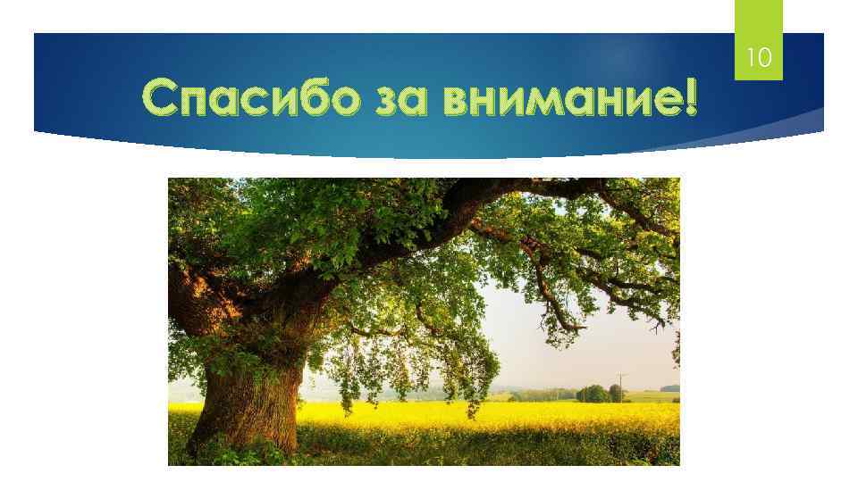 Спасибо за внимание! 10 