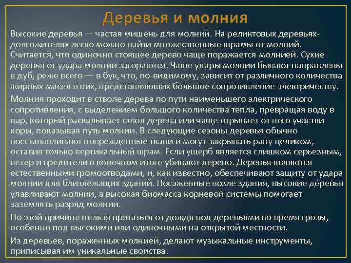 Деревья и молния Высокие деревья — частая мишень для молний. На реликтовых деревьяхдолгожителях легко