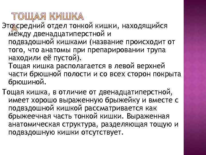 Это средний отдел тонкой кишки, находящийся между двенадцатиперстной и подвздошной кишками (название происходит от