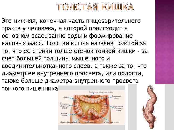 Трахеопищеводный свищ презентация