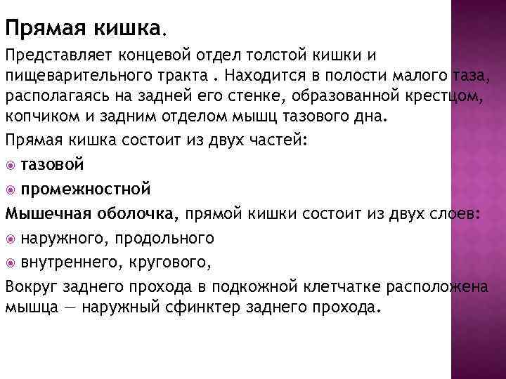 Прямая кишка. Представляет концевой отдел толстой кишки и пищеварительного тракта. Находится в полости малого