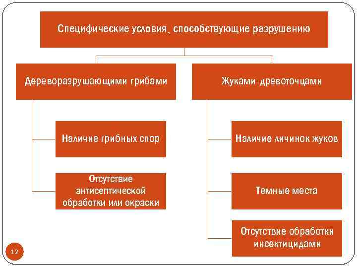 Специфические условия, способствующие разрушению Дереворазрушающими грибами Жуками-древоточцами Наличие грибных спор Отсутствие антисептической обработки или