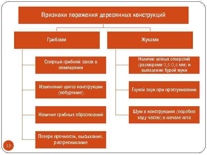 Признаки поражения деревянных конструкций Грибами Жуками Спертый грибной запах в помещении Изменение цвета конструкции