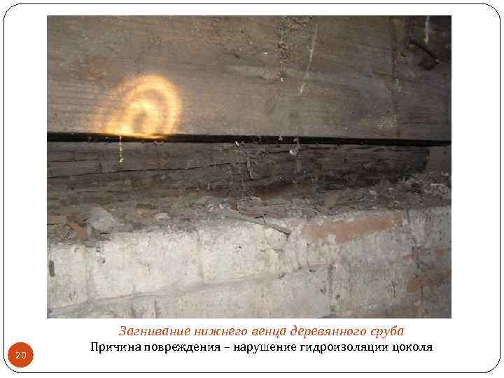 Загнивание нижнего венца деревянного сруба 20 Причина повреждения – нарушение гидроизоляции цоколя 