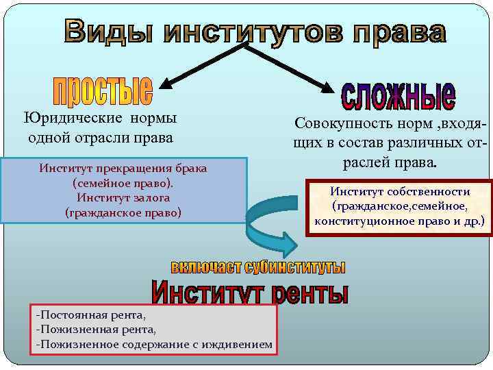 Нормы семейного института. Правовые институты примеры.