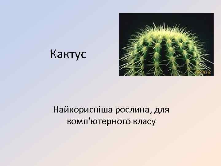 Кактус Найкорисніша рослина, для комп’ютерного класу 