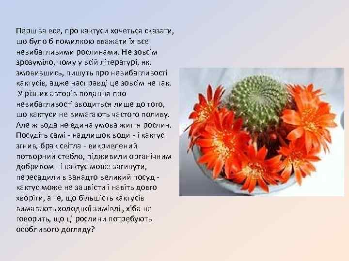 Перш за все, про кактуси хочеться сказати, що було б помилкою вважати їх все