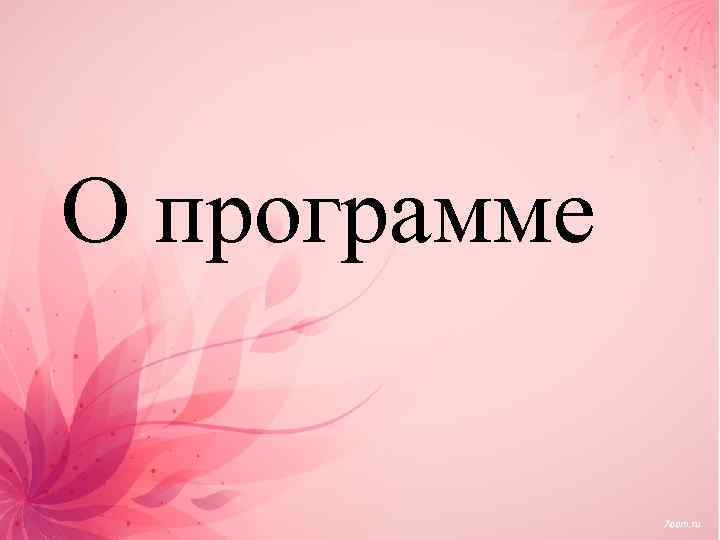 О программе 