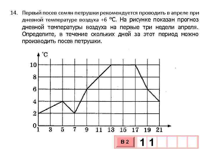 14. Первый посев семян петрушки рекомендуется проводить в апреле при дневной температуре воздуха +6