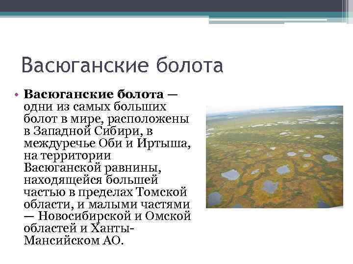 Васюганские болота где. Большое Васюганское болото на карте России. Большие Васюганские болота на карте. Васюганские болота, Западная Сибирь. Болото Васюганье на карте России.