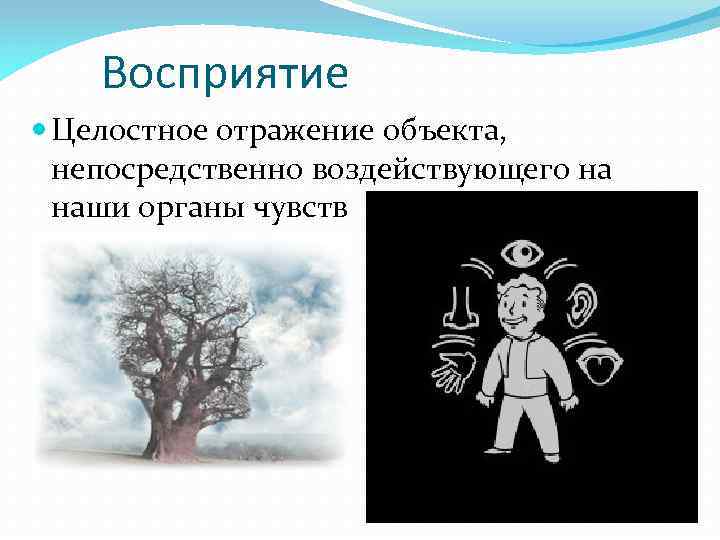 Отражение целостного образа непосредственно воздействующего. Целостное восприятие мира. Целостность восприятия мира. Целостное отражение объекта, воздействующего на наши органы чувств. Целостное восприятие объектов.