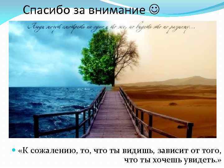 Спасибо за внимание «К сожалению, то, что ты видишь, зависит от того, что ты