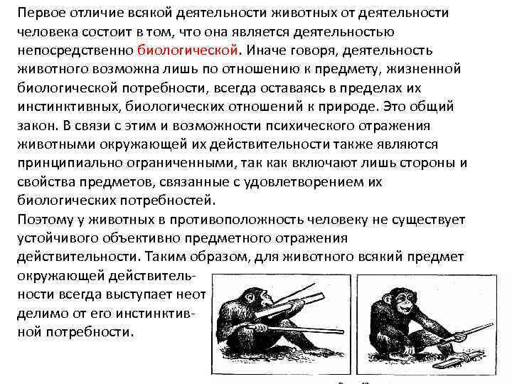 Тест поведение и психика человека. Сравнение психики человека и животных. Различия в психической деятельности животных и человека. Отличие психики человека от животных. Отличие психики человека и животных таблица.