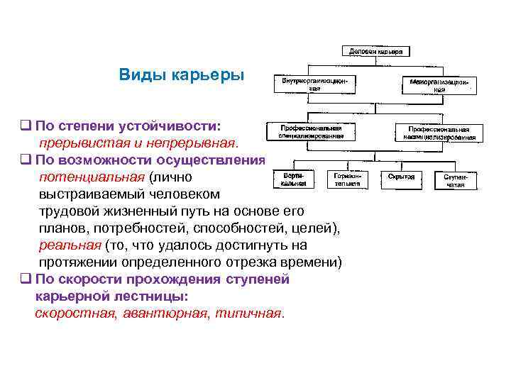  Виды карьеры q По степени устойчивости: прерывистая и непрерывная. q По возможности осуществления: