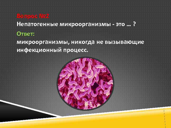 Вопрос № 2 Непатогенные микроорганизмы - это … ? Ответ: микроорганизмы, никогда не вызывающие