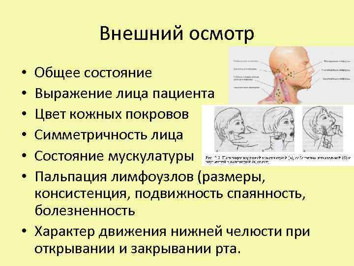 Внешний осмотр Общее состояние Выражение лица пациента Цвет кожных покровов Симметричность лица Состояние мускулатуры