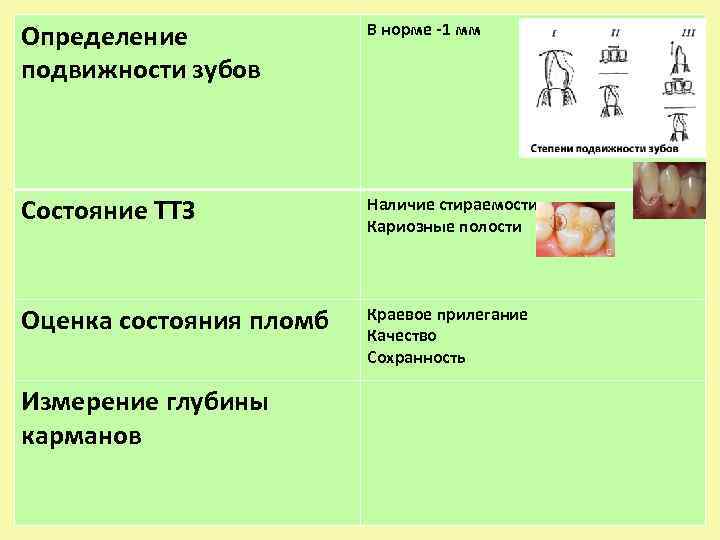 Определение подвижности зубов В норме -1 мм Состояние ТТЗ Наличие стираемости Кариозные полости Оценка