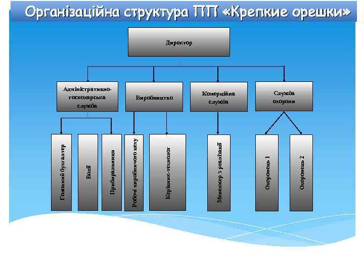 Організаційна структура ПП «Крепкие орешки» Директор Охоронець 1 Охоронець 2 Служба охорони Комерційна служба