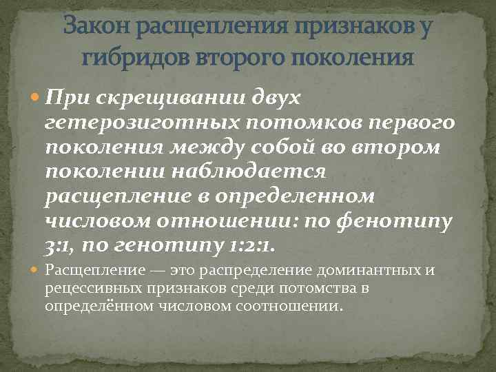 Закон расщепления признаков у гибридов второго поколения При скрещивании двух гетерозиготных потомков первого поколения