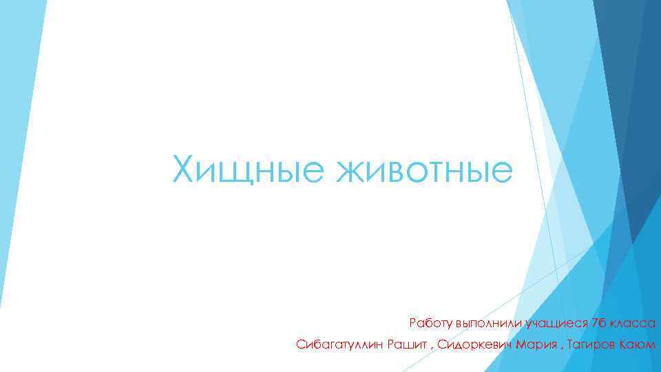 Хищные животные Работу выполнили учащиеся 7 б класса Сибагатуллин Рашит , Сидоркевич Мария ,