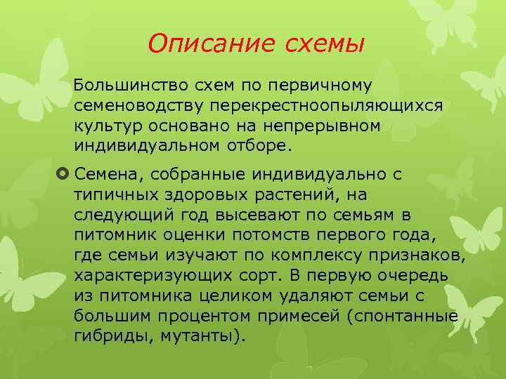 Описание схемы Большинство схем по первичному семеноводству перекрестноопыляющихся культур основано на непрерывном индивидуальном отборе.