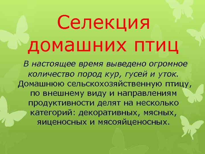 Селекция домашних птиц В настоящее время выведено огромное количество пород кур, гусей и уток.