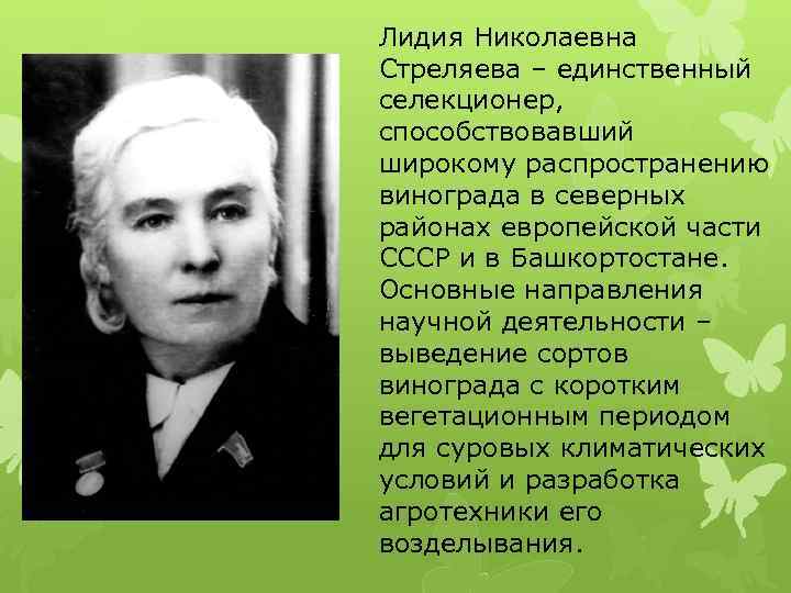 Лидия Николаевна Стреляева – единственный селекционер, способствовавший широкому распространению винограда в северных районах европейской