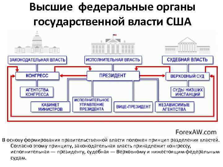 Схему высших органов государственной власти по конституции сша 1787 г