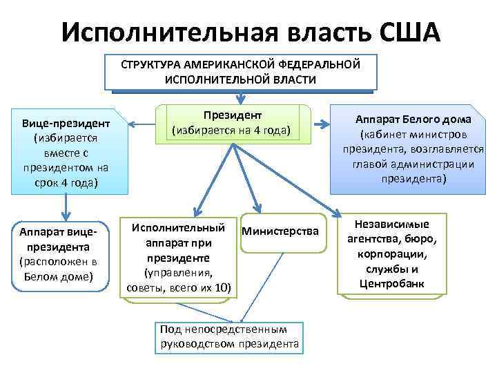 Исполнительная власть осуществляется. Функции ветвей исполнительной власти США. Структура власти в США схема. Порядок формирования исполнительной власти США. Исполнительная власть в США принадлежит.