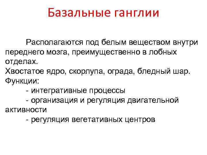 Базальные ганглии Располагаются под белым веществом внутри переднего мозга, преимущественно в лобных отделах. Хвостатое