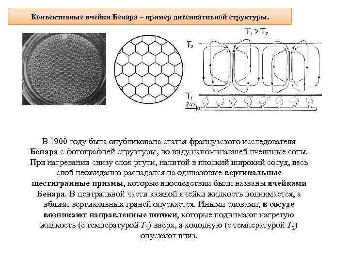 Конвективные ячейки Бенара – пример диссипативной структуры. В 1900 году была опубликована статья французского