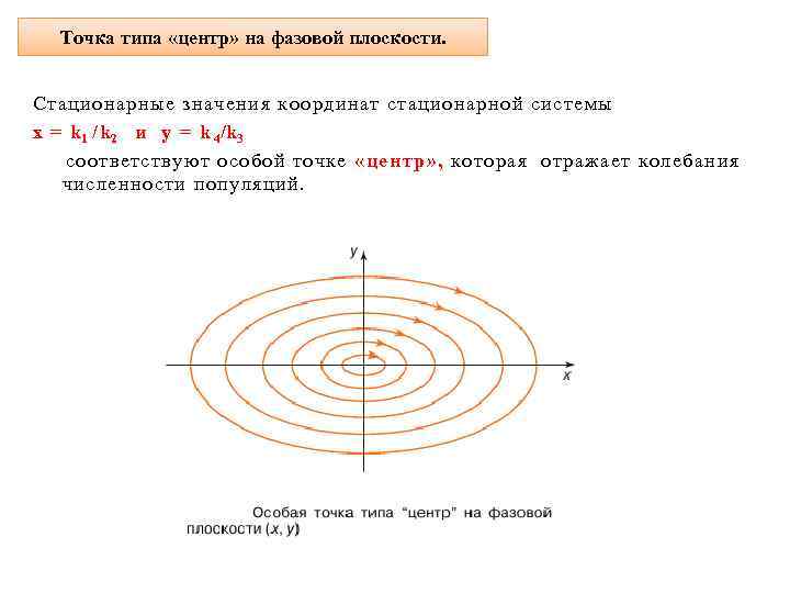 Точка типа «центр» на фазовой плоскости. Стационарные значения координат стационарной системы x = k