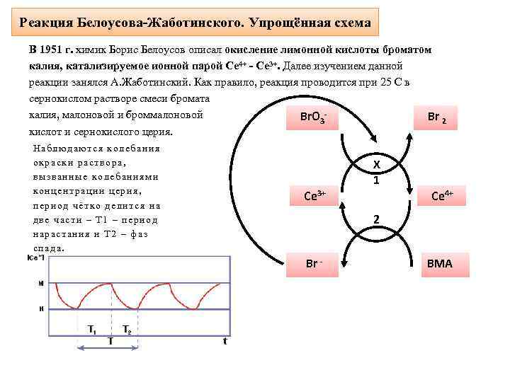 Реакция Белоусова-Жаботинского. Упрощённая схема В 1951 г. химик Борис Белоусов описал окисление лимонной кислоты