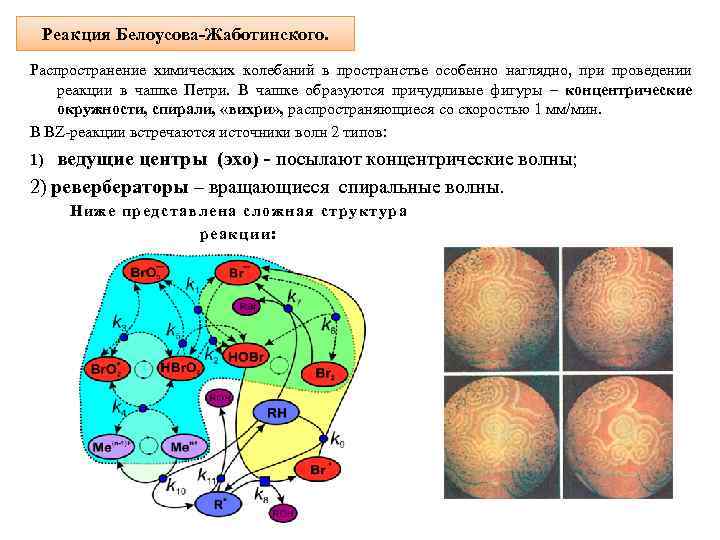 Реакция Белоусова-Жаботинского. Распространение химических колебаний в пространстве особенно наглядно, при проведении реакции в чашке