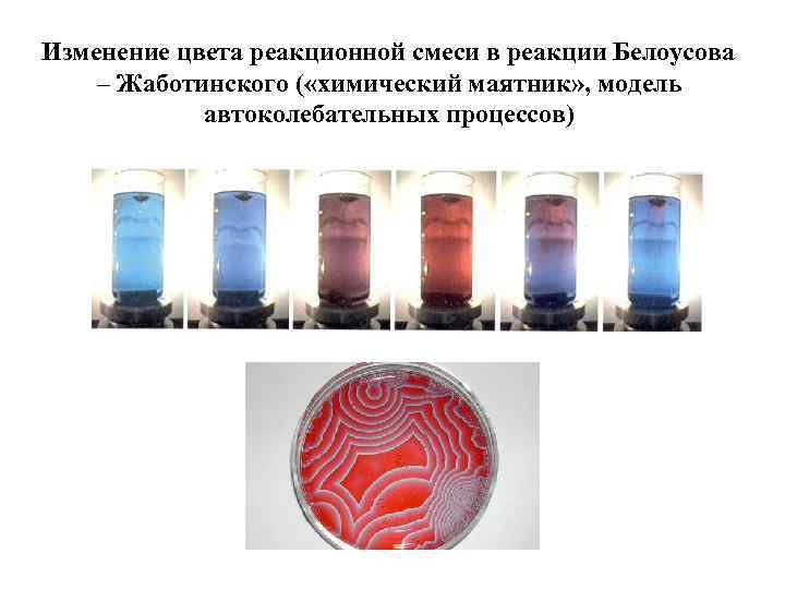  Изменение цвета реакционной смеси в реакции Белоусова – Жаботинского ( «химический маятник» ,