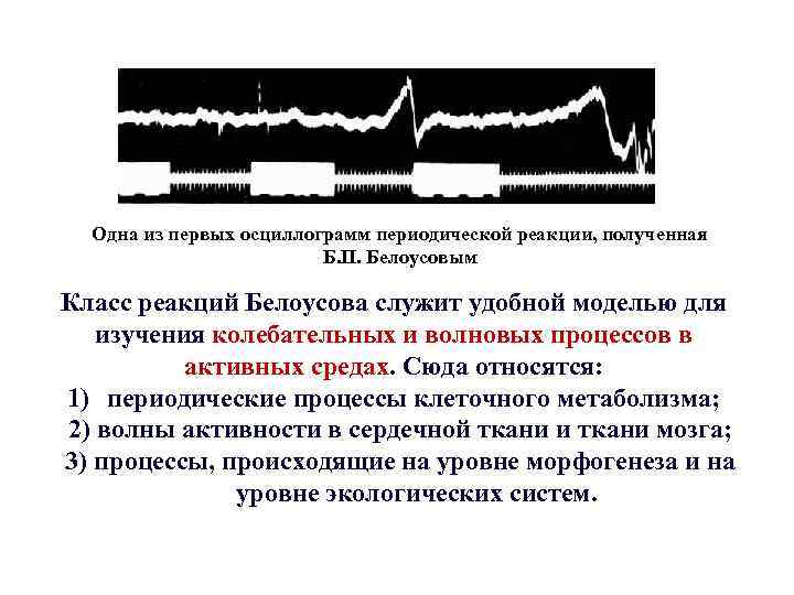 Одна из первых осциллограмм периодической реакции, полученная Б. П. Белоусовым Класс реакций Белоусова служит