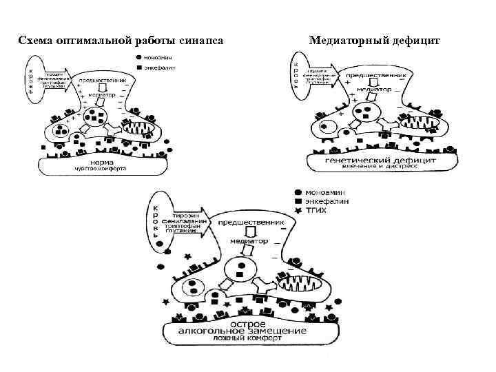 Схема оптимальной работы синапса Медиаторный дефицит 