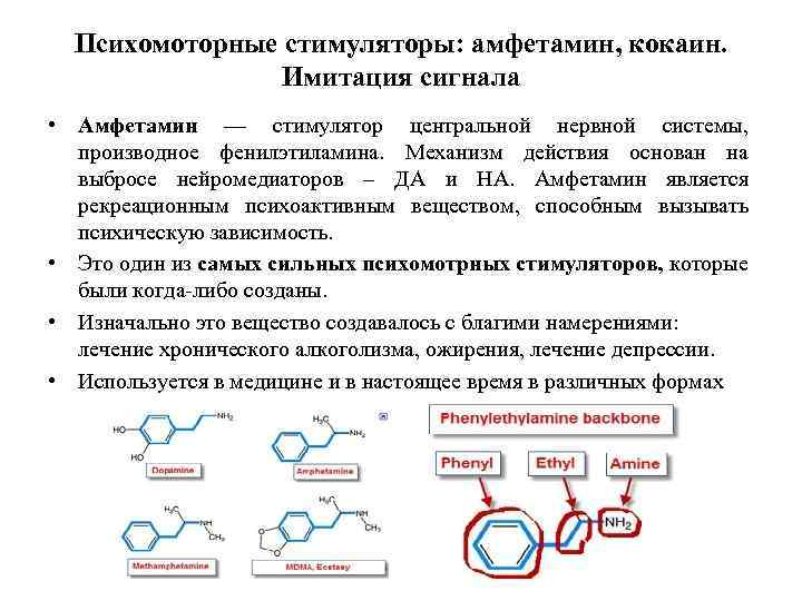 Психомоторные стимуляторы: амфетамин, кокаин. Имитация сигнала • Амфетамин — стимулятор центральной нервной системы, производное
