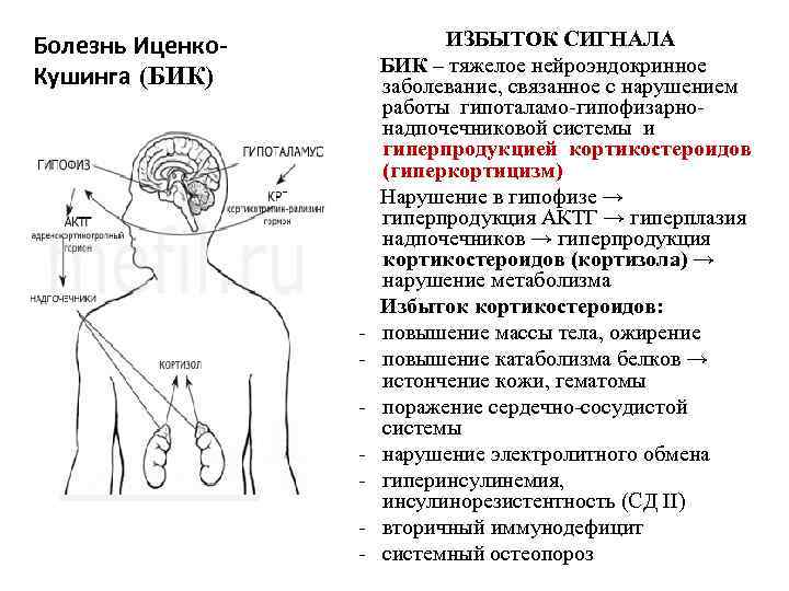Болезнь Иценко. Кушинга (БИК) Гипоталамо-гипофизарно-надпочечниковая ось ИЗБЫТОК СИГНАЛА БИК – тяжелое нейроэндокринное заболевание, связанное