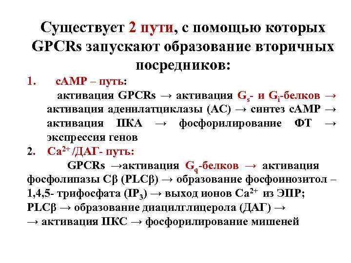 Существует 2 пути, с помощью которых GPCRs запускают образование вторичных посредников: 1. с. АМР