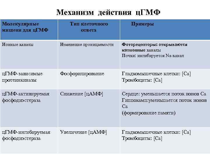 Механизм действия ц. ГМФ Молекулярные мишени для ц. ГМФ Тип клеточного ответа Примеры Ионные