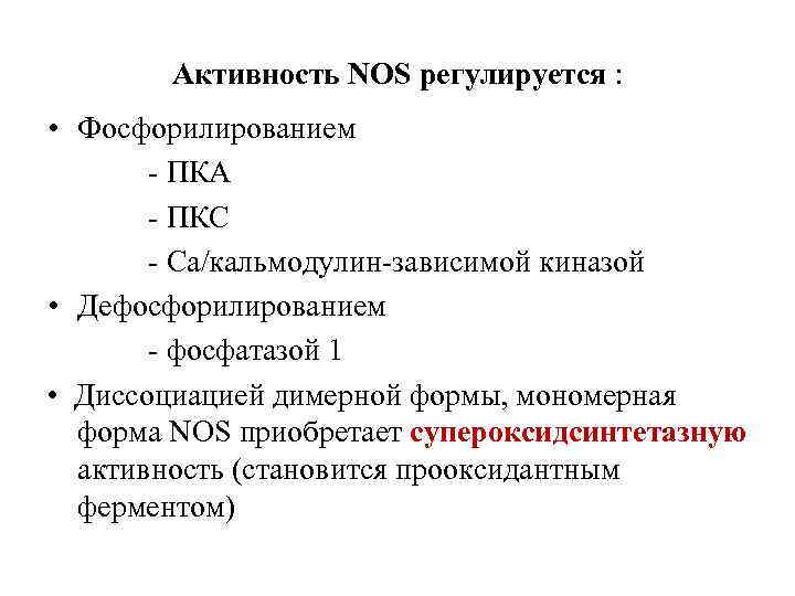 Активность NOS регулируется : • Фосфорилированием - ПКА - ПКС - Са/кальмодулин-зависимой киназой •